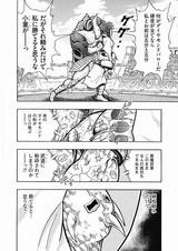 ザ マンのダイヤモンドパワー 無欠雁字搦め フューチャー ヴィジョン