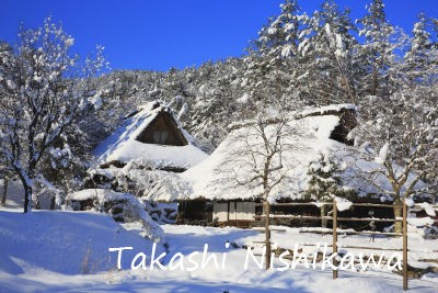 馬の顔を家の中に向けるのは幸せが駆け込むように 玄関に飾る