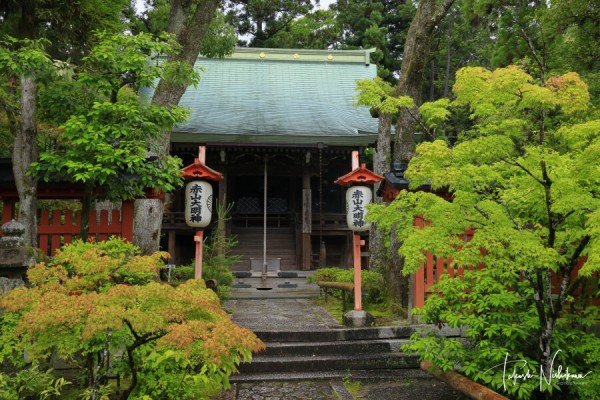 京都府京都市の詩仙堂・圓光寺・曼殊院・赤山禅院 5月27日分