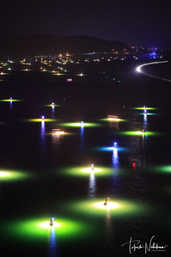 湘南シラスウナギ漁セット シラスウナギ」漁が宮崎県内で解禁、集魚灯の明かりが川面を幻想的に