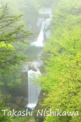 山梨県北杜市の尾白川渓谷の神蛇滝と精進ヶ滝 5月15日分。 : 風景写真家・西川貴之の気まぐれブログ