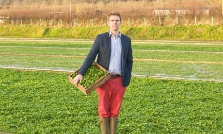 イギリス反応 ワサビの地下茎 イギリスの農家でも生産 海外反応 クールジャパン