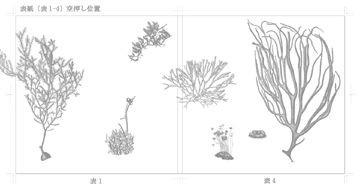 Lixil Booklet 海藻 海の森のふしぎ ようこそ 行列のできる 箔押し印刷工房 へ Lixil Booklet 海藻 海の森のふしぎ ようこそ 行列のできる 箔押し印刷工房 へ