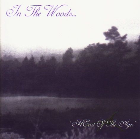 IN THE WOODS... : Black Metal Wanderer