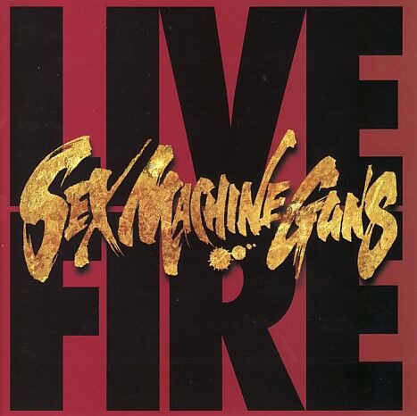 国内盤/廃盤メロハー◇BIG GUNS/ON DENGEROUS GROUND 国内盤/廃盤