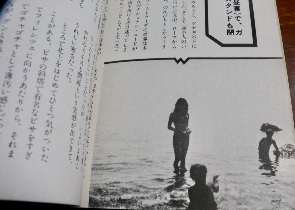 ひろこのトレーナ 堀ひろ子直筆サイン入り ひろこのトレーナ 堀ひろ子直筆サイン入り