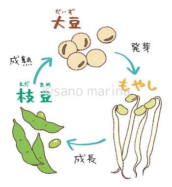 国語辞典の挿絵を描きました マリナの奇妙な冒険 第５部