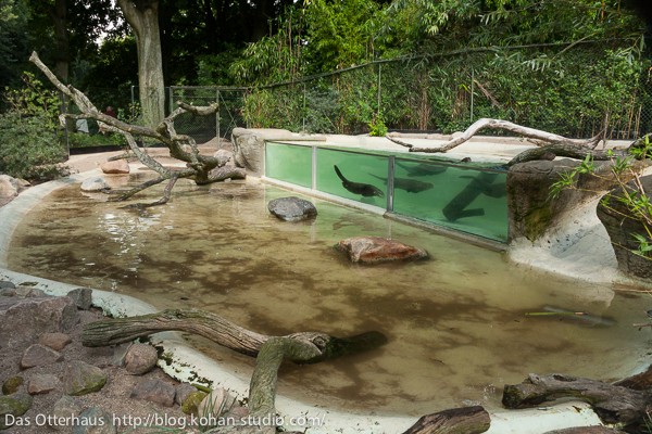 世界最大のカワウソ4・ハーゲンベック動物公園その1 : Das Otterhaus