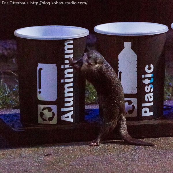 ナイトサファリの分別カワウソ！ : Das Otterhaus 【カワウソ舎
