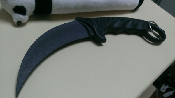 シラット体験とか Crazy Monde