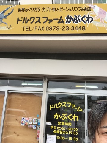 ドルクスファームかぶくわさんへ行ってきた ノコノコ飼育記