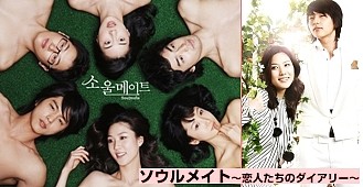 韓国ドラマ ソウルメイト 恋人たちのダイアリー 全22話 06年 韓国ドラマストーリー