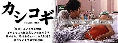 □韓国ドラマ『カシコギ－THORN FISH－』（全４話）2000年 : 韓国