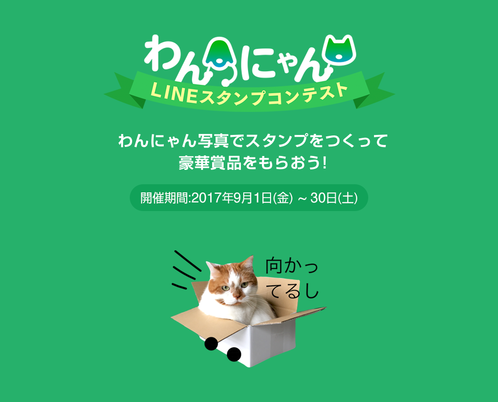 愛犬 愛猫のスタンプをつくって豪華賞品ゲット わんにゃんlineスタンプコンテスト がスタート Lineスタンプ公式ブログ