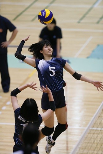 2017.5.21 関東大学V春季リーグ 松蔭大學VS日本体育大学 2017.5.21 関東大学V春季リーグ 松蔭大學VS日本体育大学