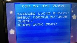 色違いの黒いカプ コケコ キャンペーン くまぼんの徒然草