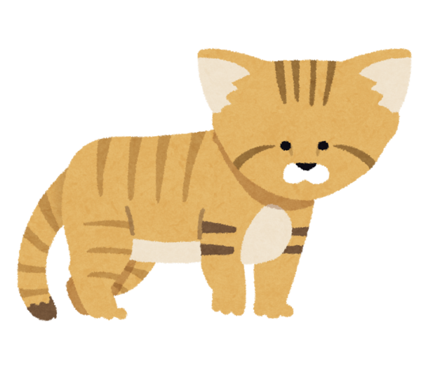 神戸 スナネコの赤ちゃんデビュー 砂漠の天使 飼えない理由 かわいい顔をしていても猛獣 理系にゅーす