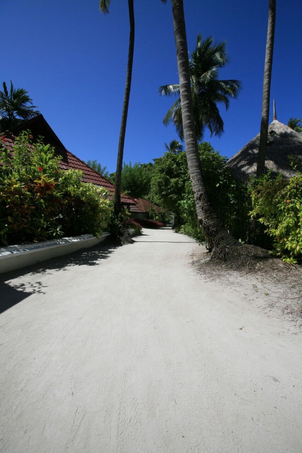 私とつながり 大切な人とつながる 心理カウンセラー いしだちさ