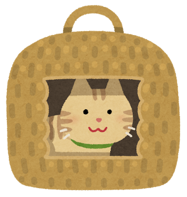 シュレーディンガーの猫って結局なんなの 加藤純一速報 なんj