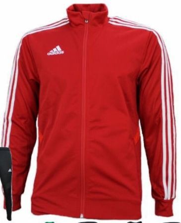 Addidasの赤いジャージ 中年空手百条委員会