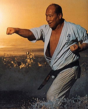 ４月７日の稽古 正拳突きは肩を出すか 腰を入れるか 中年空手百条委員会