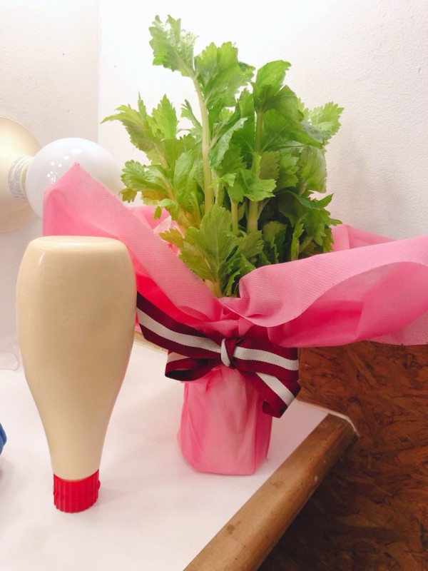 ももちが差し入れたセロリ画像きたぞ Ute派なんday