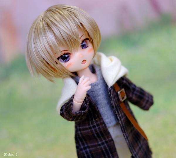 Dollce あまむす DC-05 カスタムヘッド