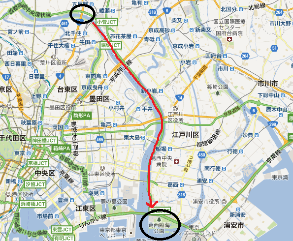 ロードバイク3台＆ミニベロで、葛西臨海公園まで走ってきた : サイクル