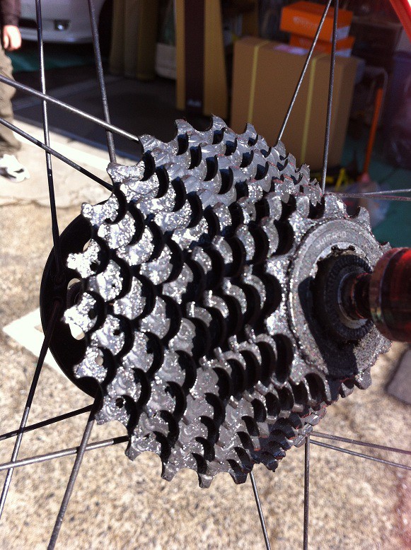 Dahon(ダホン) Mu P8 の タイヤ（SCHWALBE デュラーノ）、チェーン