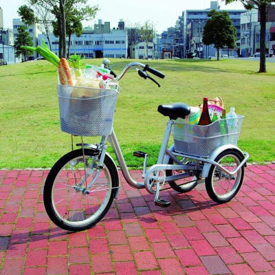 ３輪にすると広がる使いみち : サイクルロード ～自転車への道