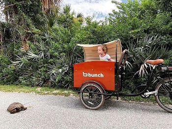 成長する市場と変化する需要 サイクルロード 自転車への道