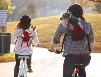 人間と愛犬との密着した関係 サイクルロード 自転車への道