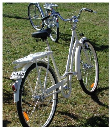 自転車と大学生活のその先に : サイクルロード ～自転車への道