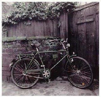 自転車と大学生活のその先に : サイクルロード ～自転車への道