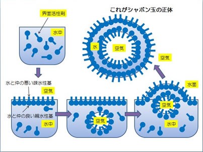 シャボン玉はなぜできる 界面活性剤の話 その1 城先生と寺尾先生の知って得するかも 健康 化学まめ知識 化学編