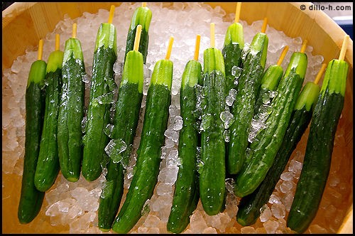 きゅうりで病気 ちょｗｗｗ勢いｗｗｗ