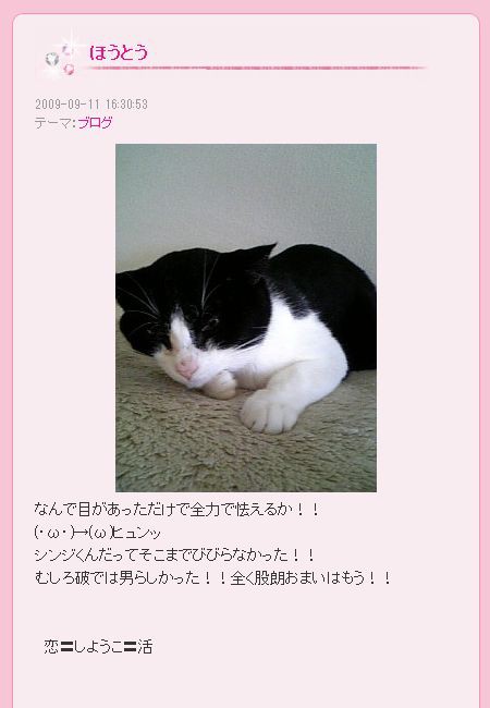 画像まとめ リアルファーしょこたんこと中川翔子 捨て猫 で炎上も正当性主張 毒ではない 現在は リアルファーを 使用しておりません ちょｗｗｗ勢いｗｗｗ