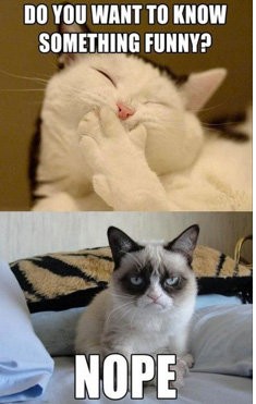 ◯◯に学ぶ英語・・面白画像（その２） : ニューヨーク駐在英語