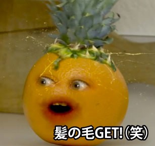 迷惑なオレンジ君 韻を踏む ニューヨーク駐在英語