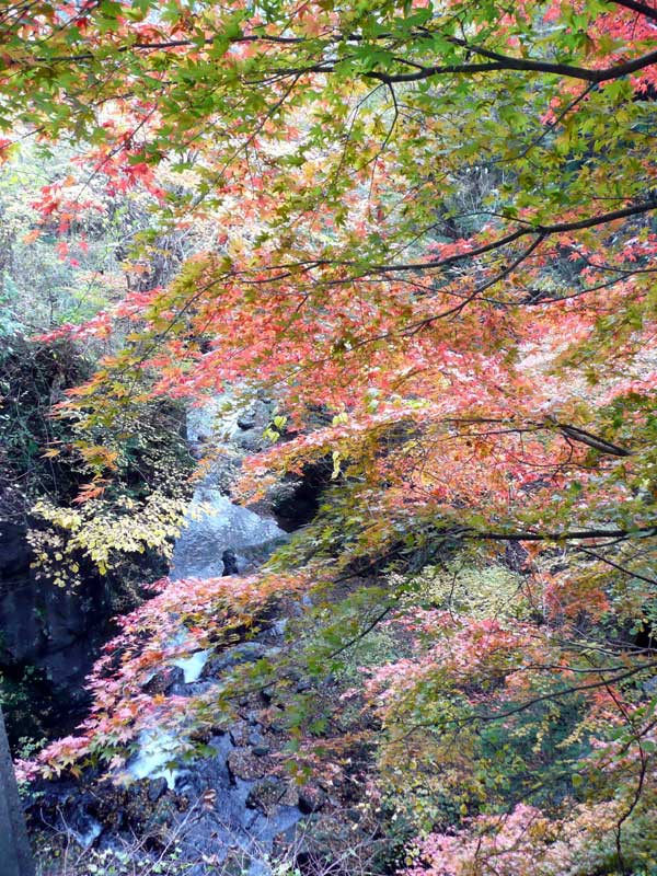 大好きなホーリーマウンテン蓬莱山 佐野市の滝と紅葉 Soba De Sova