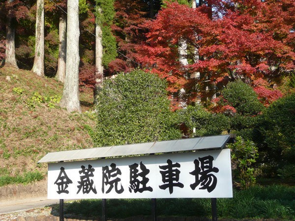 12年11月 紅葉速報その3 金蔵院 佐野市 葛生地区 もみじ谷 足利市 Soba De Sova