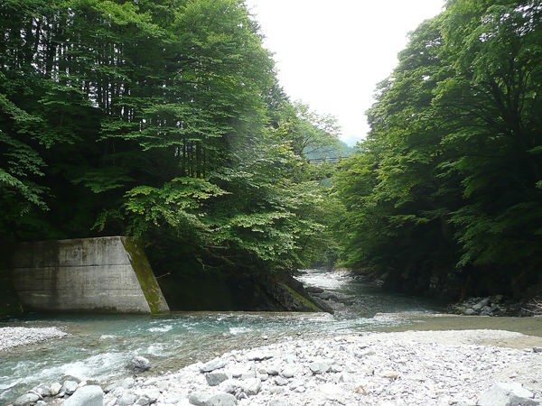 子供連れの川遊びにおすすめ 西大芦フォレストビレッジと出会いの森総合公園オートキャンプ場 鹿沼市 Soba De Sova