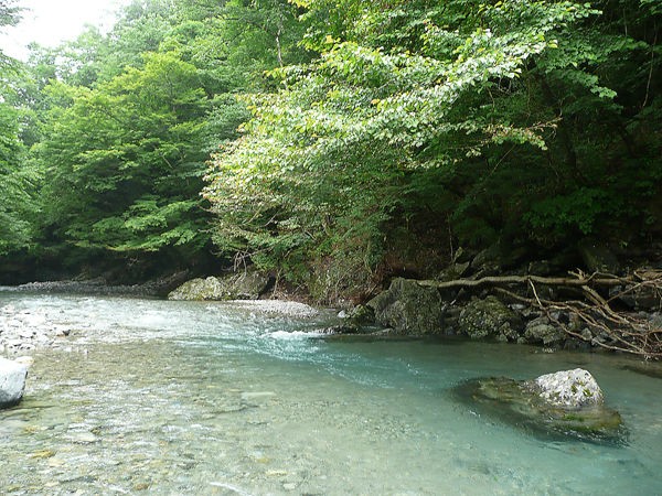 子供連れの川遊びにおすすめ 西大芦フォレストビレッジと出会いの森総合公園オートキャンプ場 鹿沼市 Soba De Sova