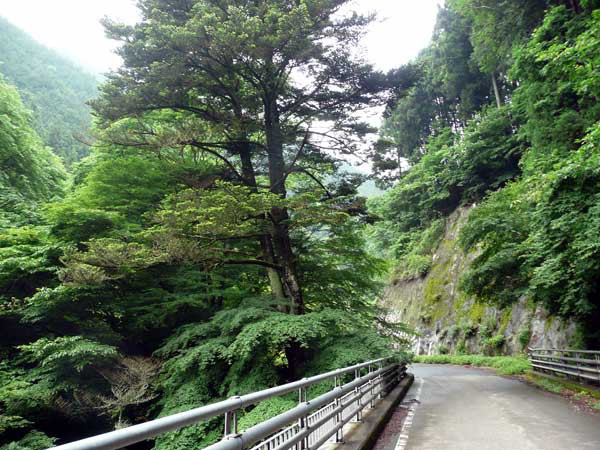 涼しさを感じられる北関東真夏のオススメお出かけ地 2 蓬莱山で滝見とお風呂とお蕎麦と 佐野市 Soba De Sova