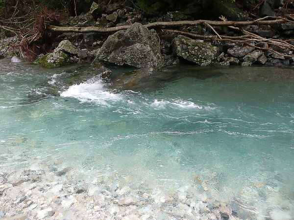 子供連れの川遊びにおすすめ 西大芦フォレストビレッジと出会いの森総合公園オートキャンプ場 鹿沼市 Soba De Sova