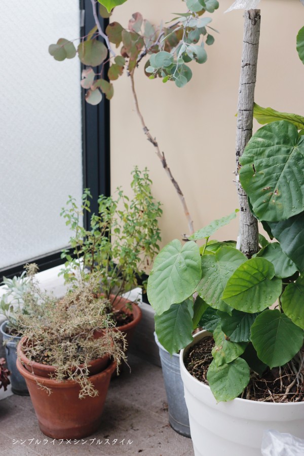 コロナ禍 15年ぶりの引っ越し 関東 九州の引っ越し費用と引っ越し当日の必需品 シンプルライフ シンプルスタイル Powered By ライブドアブログ コロナ禍 15年ぶりの引っ越し 関東 九州の引っ越し費用と引っ越し当日の必需品 シンプルライフ シンプルスタイル Powered By ライブドアブログ