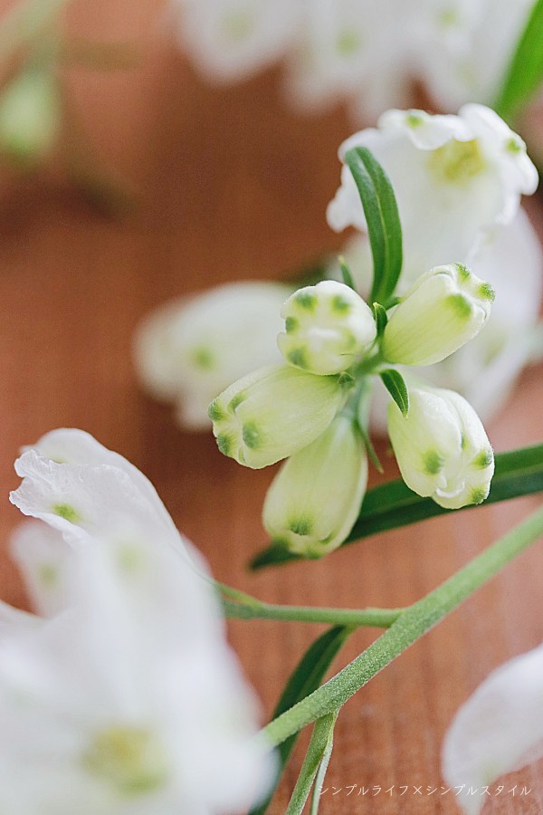 花のある暮らし 切り花を１番楽しめる季節が到来 シンプルライフ シンプルスタイル Powered By ライブドアブログ