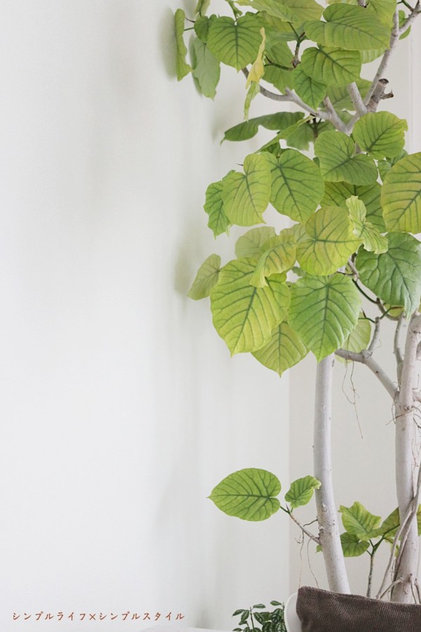 花のある暮らし 秋の実もの 鈴バラ を楽しむ シンプルライフ シンプルスタイル Powered By ライブドアブログ