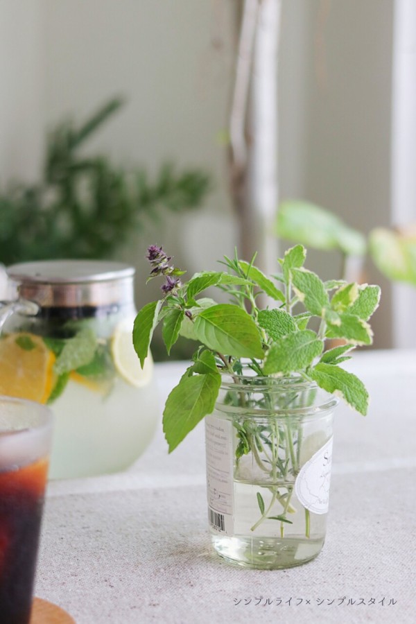 お気に入りの愛用品 キッチングッズ 冷たいお茶をkintoのティーポットで美味しくいただく シンプルライフ シンプルスタイル Powered By ライブドアブログ お気に入りの愛用品 キッチングッズ 冷たいお茶をkintoのティーポットで美味しくいただく シンプルライフ シンプルスタイル Powered By ライブドアブログ