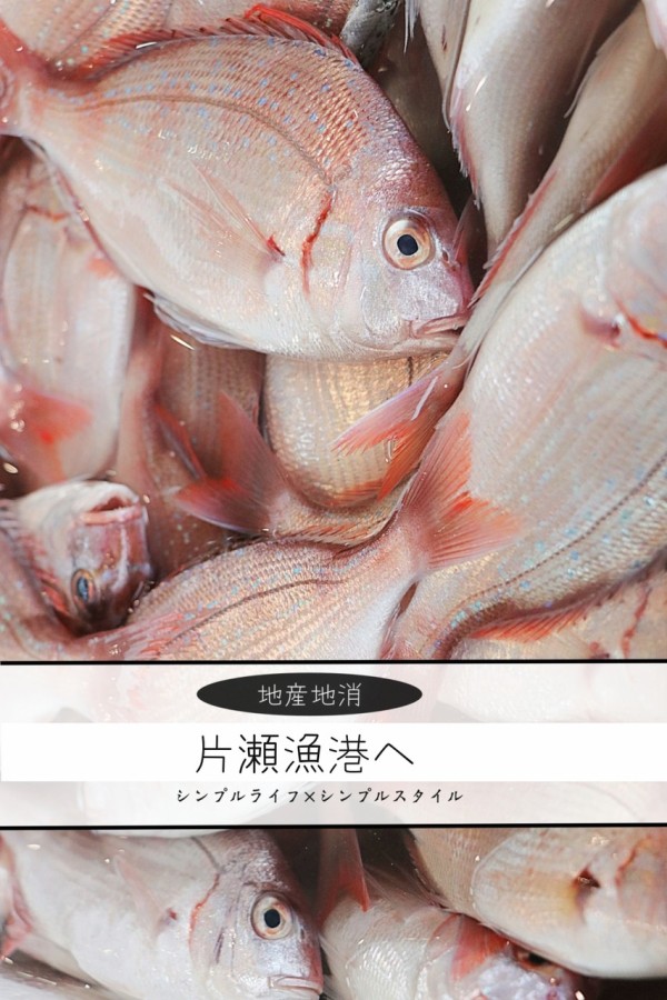 湘南ライフ｜ 片瀬漁港直売所に鮮魚を買いに。 : シンプルライフ